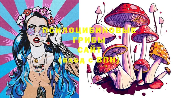 a pvp Козловка